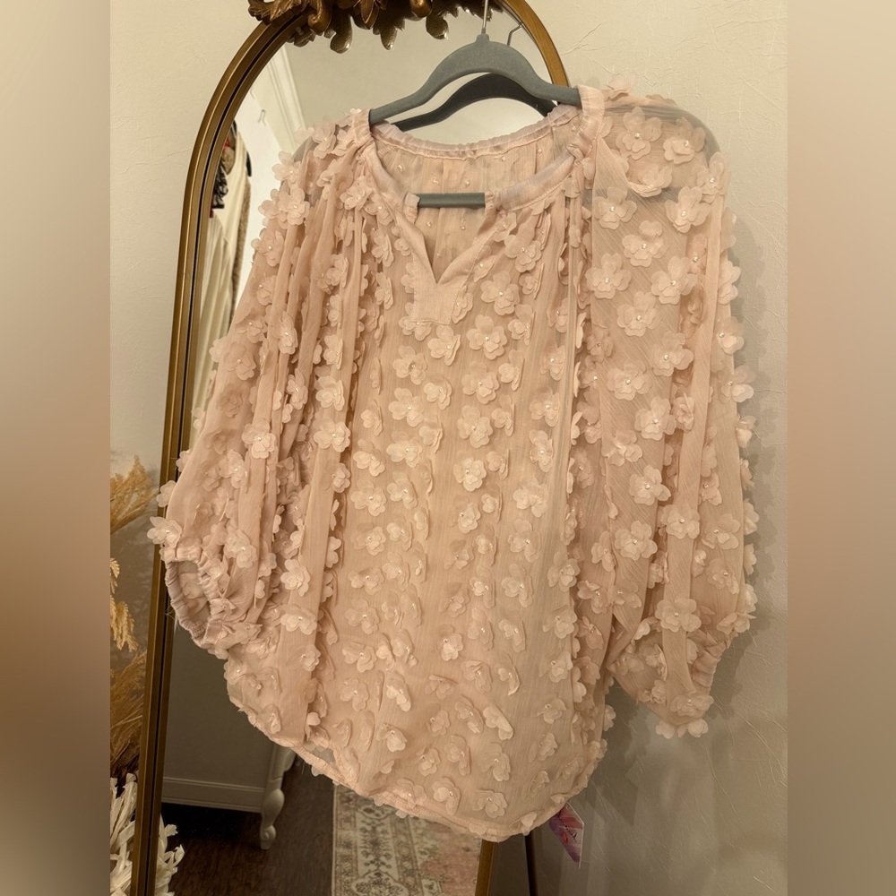 ChicWish sheer blush pink blouse with 3d flowers